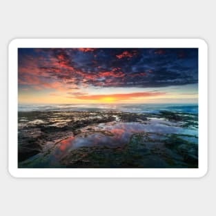 Wamberal Beach sunrise Sticker